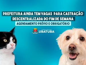 Prefeitura ainda tem vagas para castração descentralizada