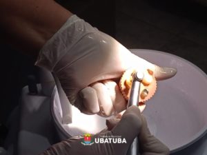 Odontologia avança em capacitação prática sobre endodontia