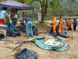 Limpeza no Perequê-Açu retira quase 90 kg de resíduos da restinga
