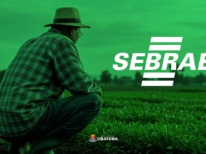 Sebrae promove capacitações para empreendedores