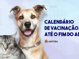 Fim de ano: UVZ divulga cronograma da vacinação antirrábica descentralizada
