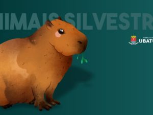 Saúde alerta sobre riscos ao tocar em animais silvestres