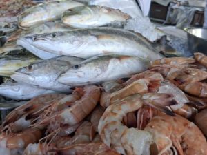 Presença de bagres nas praias de Ubatuba exige atenção de banhistas