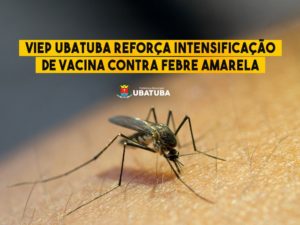 Viep Ubatuba reforça intensificação de vacina contra febre amarela