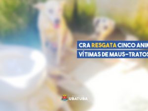 Após denúncia de maus-tratos, CRA resgata cinco animais