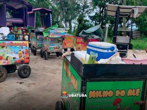 Fiscalização apreende equipamentos irregulares na Praia Grande, em Ubatuba