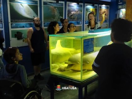 Professores da rede pública podem participar de formação gratuita