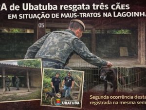 CRA de Ubatuba resgata três cães em situação de maus-tratos na Lagoinha