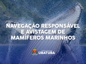 Ubatuba terá encontros para discutir observação de cetáceos