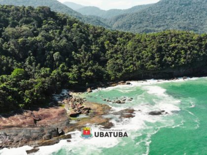 Dados apontam avanço na preservação da Mata Atlântica
