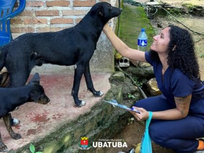 Aldeias indígenas em Ubatuba terão castração descentralizada em junho
