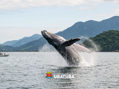 Ubatuba institui Programa Ubatuba Azul – Avistamento Consciente