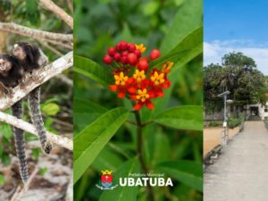 Ubatuba encerra Festival da Mata Atlântica com recorde de participação