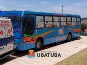 Mutirão de castração atenderá cerca de 700 animais em Ubatuba