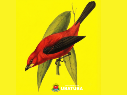 Cultura estará em foco no 10º Festival de Culturas do Cambury
