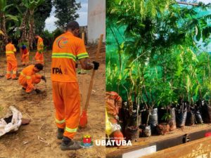 Secretaria planta mudas nativas em área de preservação no Taquaral