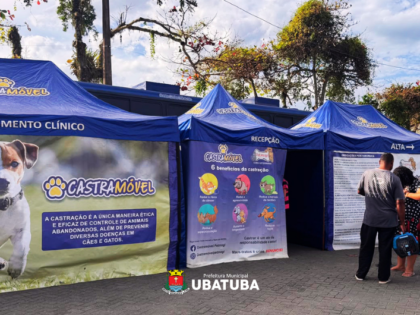 Saúde animal: Mutirão realiza 318 castrações em Ubatuba