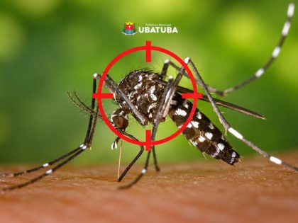 Ubatuba tem queda nos números da dengue no terceiro trimestre