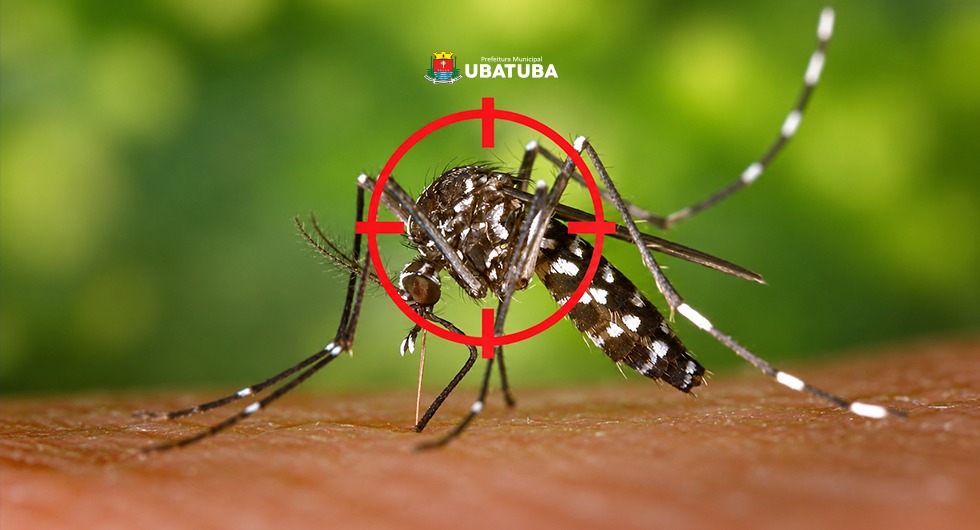 Ubatuba tem queda nos números da dengue no terceiro trimestre